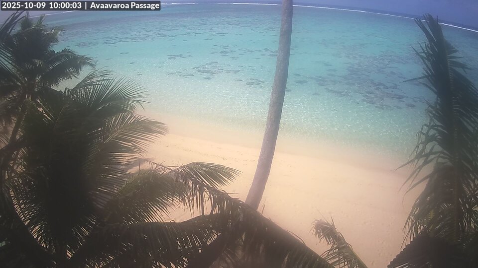 10:00 AM @ Avaavaroa Beach