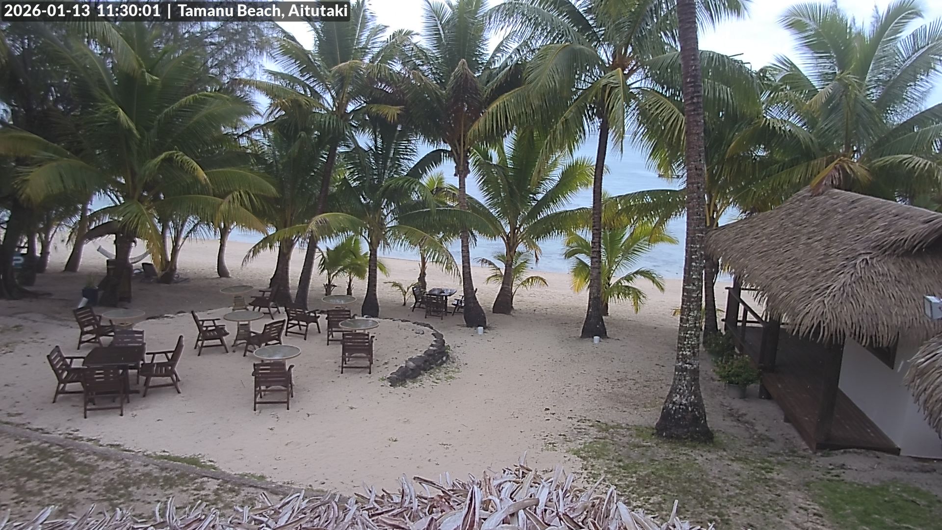 currently @ Tamanu Beach Resort